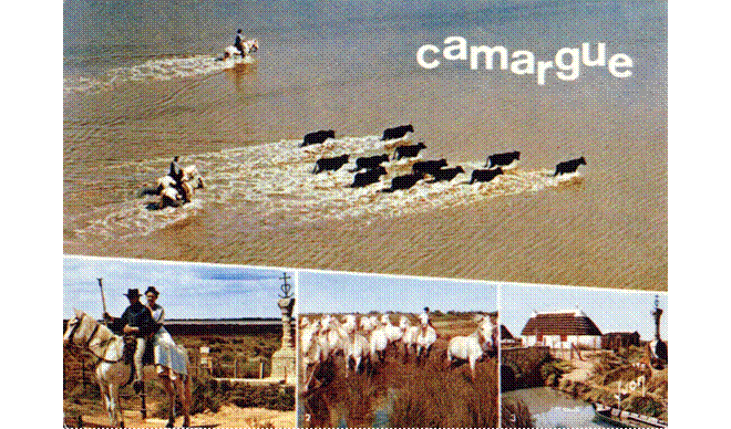 Connected through water: parables for coexistence